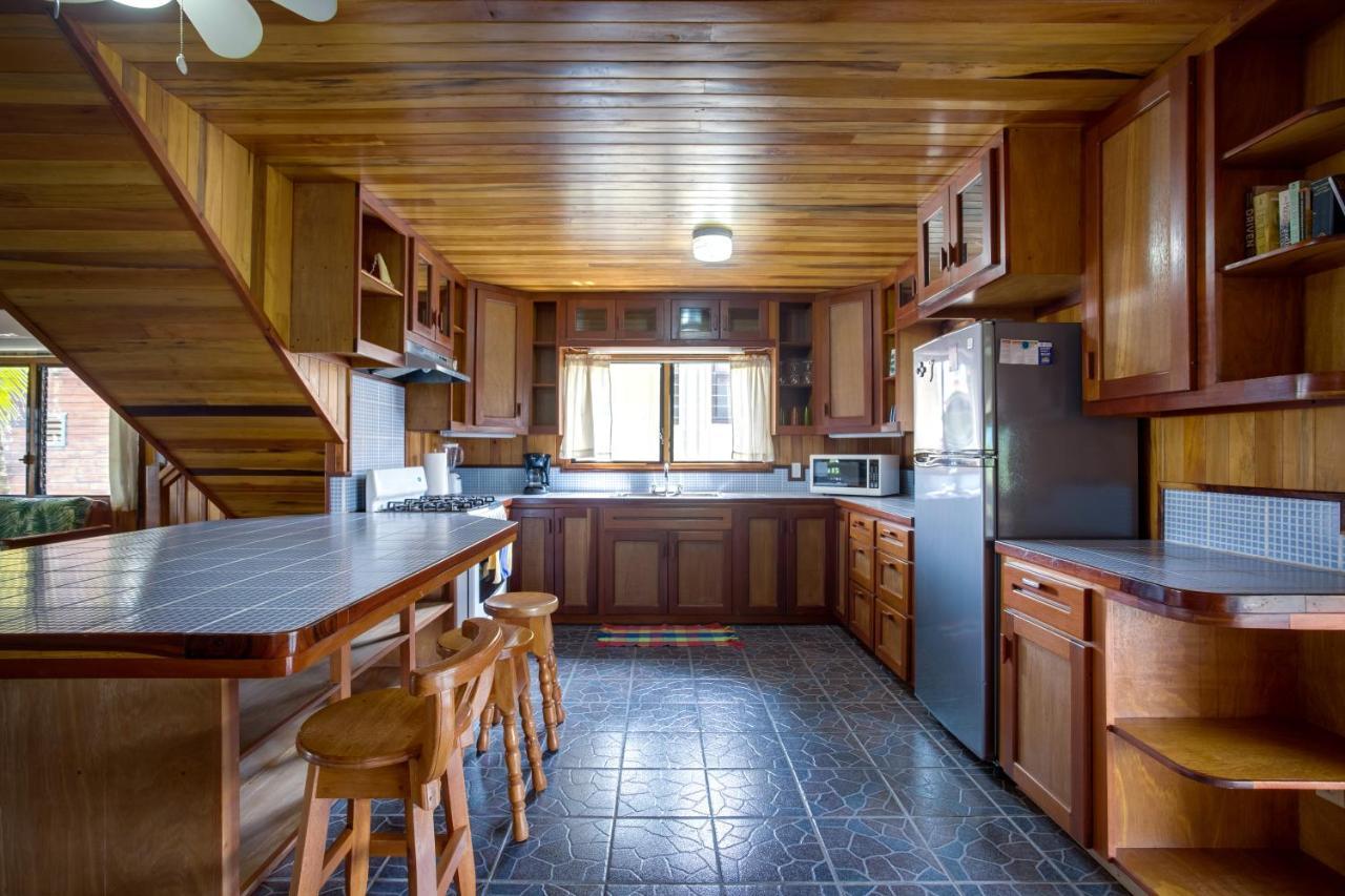 Driftwood Gardens Guesthouse Placencia Dış mekan fotoğraf