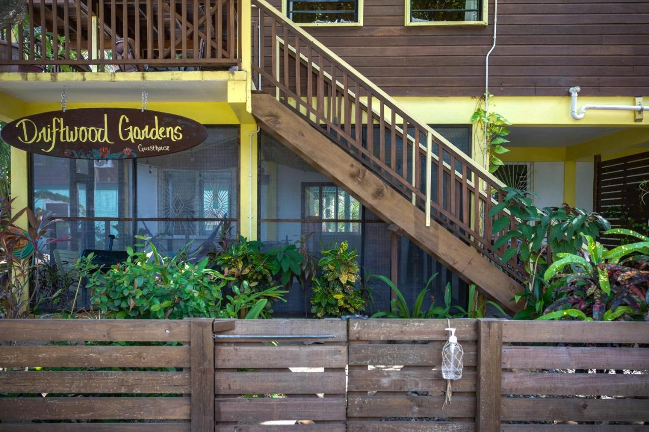 Driftwood Gardens Guesthouse Placencia Dış mekan fotoğraf