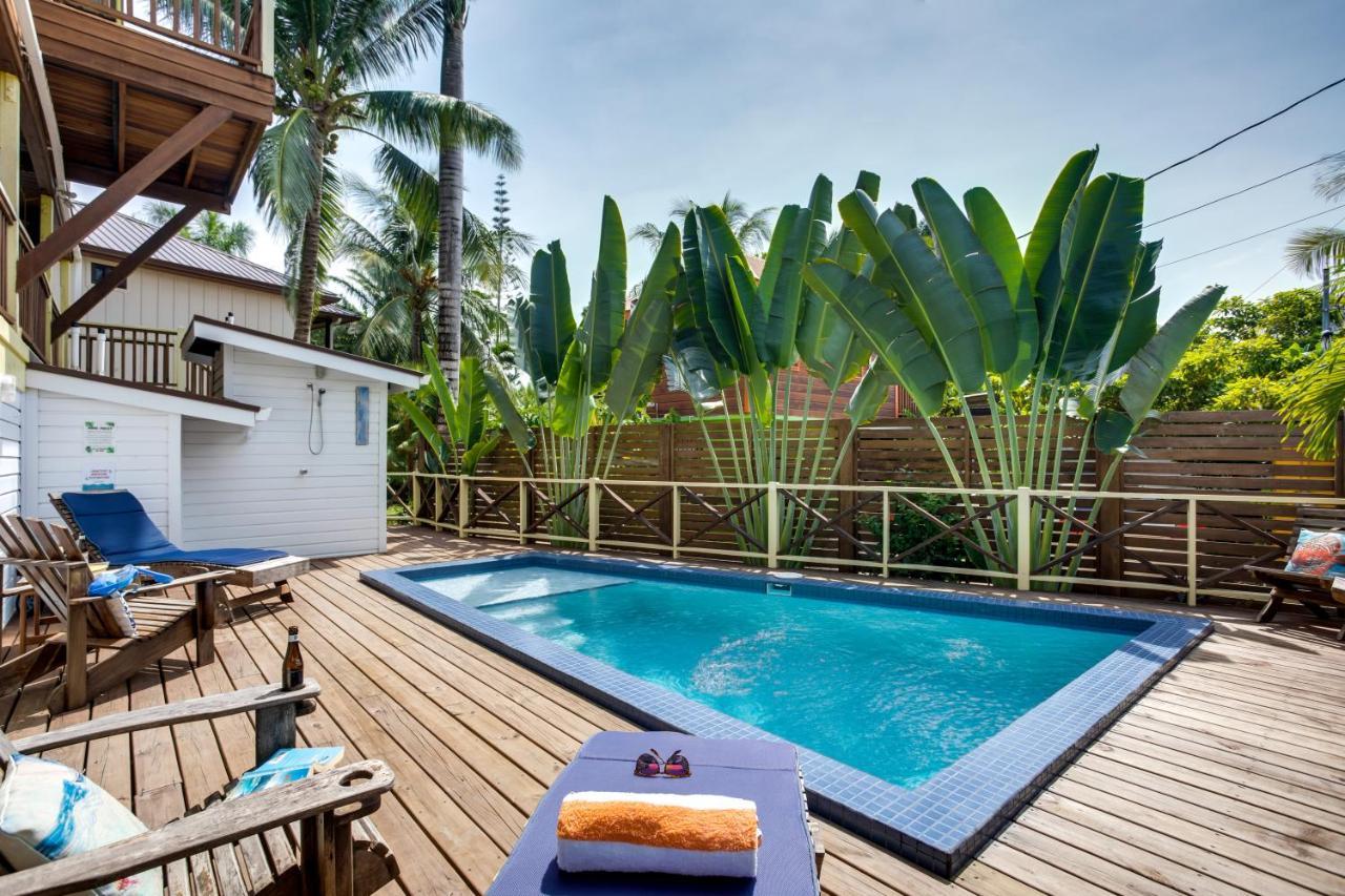 Driftwood Gardens Guesthouse Placencia Dış mekan fotoğraf
