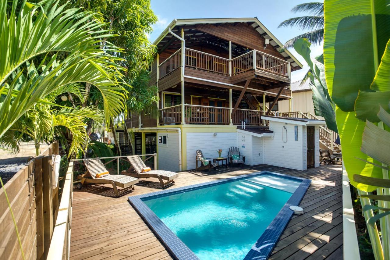 Driftwood Gardens Guesthouse Placencia Dış mekan fotoğraf