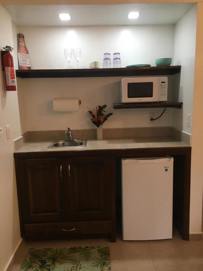 Driftwood Gardens Guesthouse Placencia Dış mekan fotoğraf