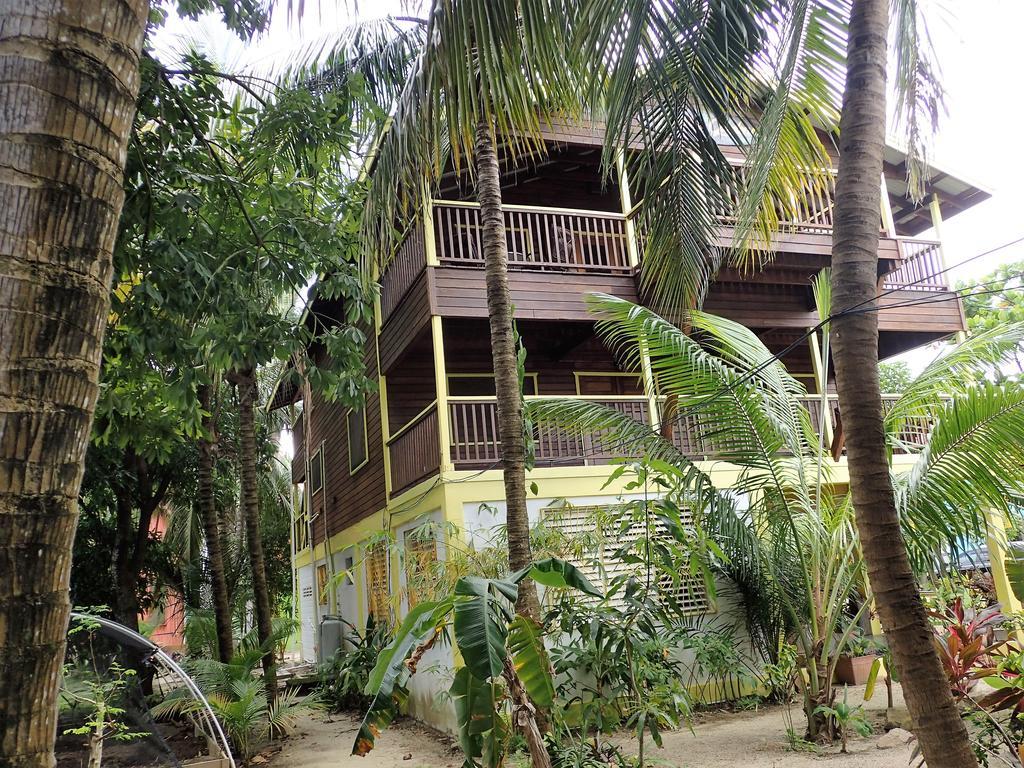 Driftwood Gardens Guesthouse Placencia Dış mekan fotoğraf